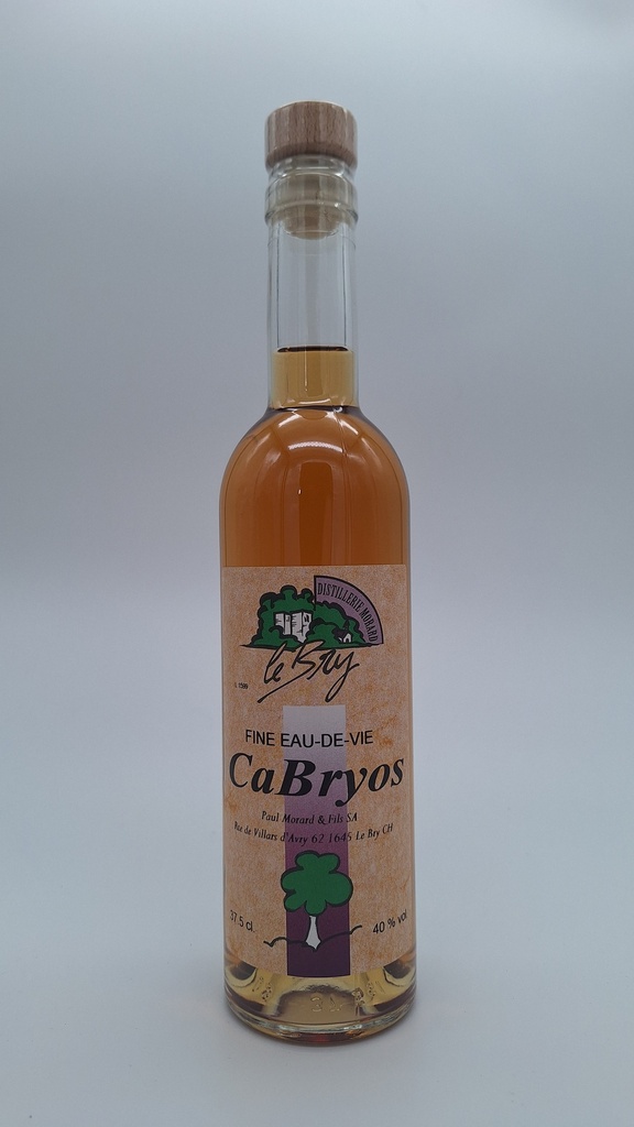 CaBryos
