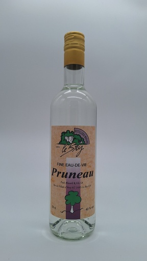 [111] [50.0] Pruneau