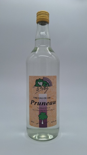 [110] [100.0] Pruneau